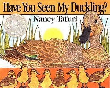Have you seen my duckling?