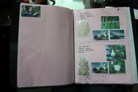 《子健的种子书》