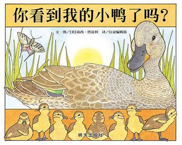 你看到我的小鸭了吗？