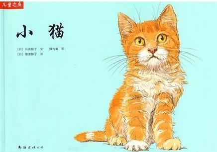 小猫