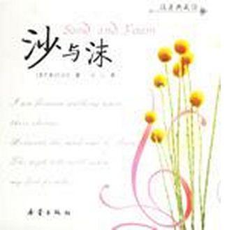 沙与沫