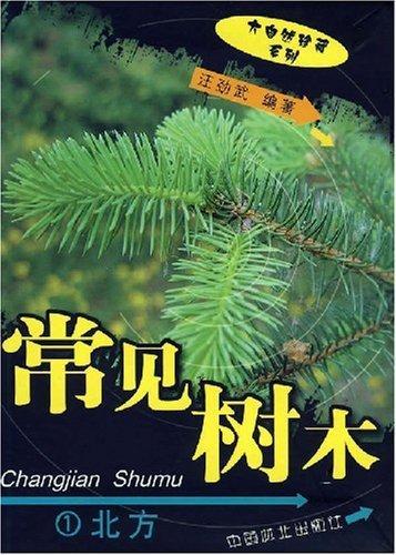 常见树木1:北方