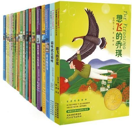 纽伯瑞大奖少年小说集（18册套装）